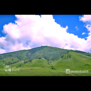 gambar gunung bromo - bukit teletubies