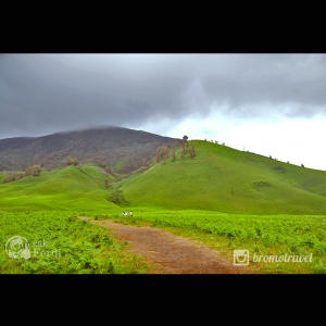 gambar gunung bromo - bukit teletubies 2