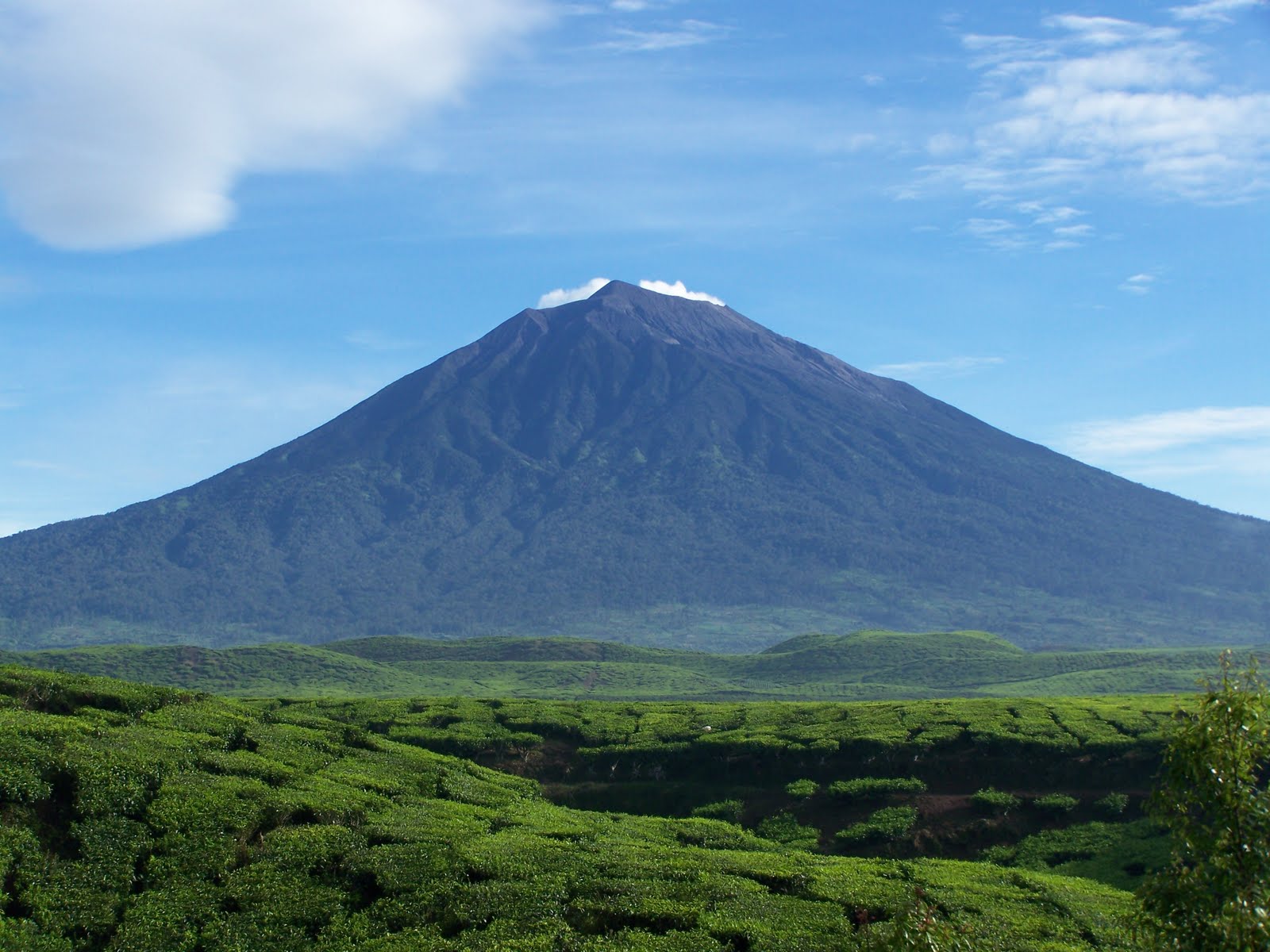 5 Gunung  Berapi Aktif di Indonesia 