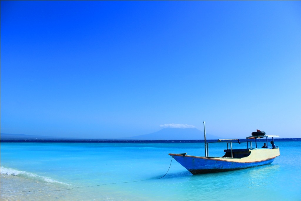 sumber : www.mongabay.co.id